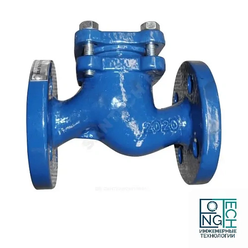 Клапан обратный чугунный подъемный фланцевый с чугунным диском Benarmo Ду25-150 Ру16 Клапан обратный чугунный подъемный фланцевый с чугунным диском Benarmo Ду25-150 Ру16 Пермь