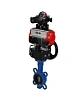 Затвор дисковый поворотный DN.ru WBV1413E-2W-Fb-H Ду50 Ру16, корпус - чугун GGG50, диск - чугун GGG40, EPDM, с пневмоприводом PA-DA-065 двойного действия, пневмораспределителем 4М310-08 24В NAMUR, БКВ APL-210N, ручным дублером MON1-250-T26-ISO Пермь