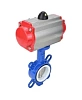 Затвор дисковый поворотный DN.ru WBV3432P-2W-Fb-H Ду250 Ру16, корпус - углеродистая сталь WCB, диск - нержавеющая сталь 316L, уплотнение - PTFE, с пневмоприводом DN.ru PA-SA-210 с возвратными пружинами Пермь