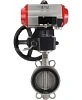Затвор дисковый поворотный DN.ru WBV3232V-2W-Fb-H Ду150 Ру16, корпус - нержавеющая сталь 316L, диск - нержавеющая сталь 316L, уплотнение - Viton, с пневмоприводом PA-DA-105, пневмораспределителем 4М310-08 220В NAMUR, ручным дублером MON3-700-T38-ISO Пермь